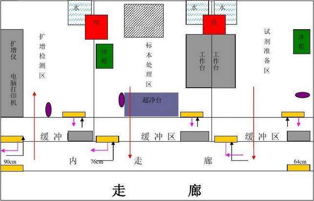 pcr实验室规划图